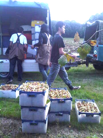 Harvest time is here !